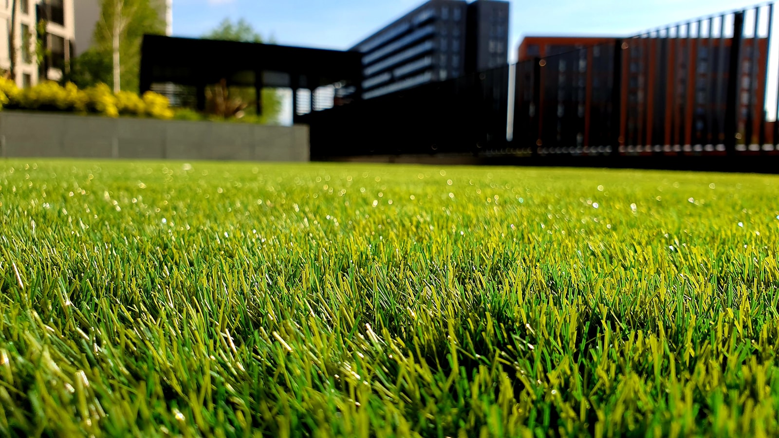 A close, low-angle view of a freshly cut, lush green lawn with modern hardscape behind